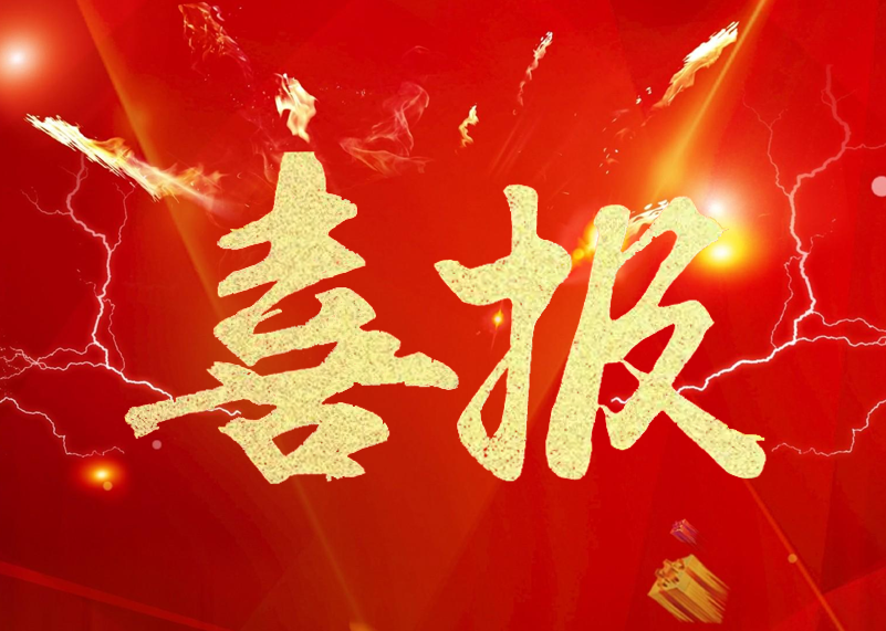 lewin乐玩显示再获行业殊荣